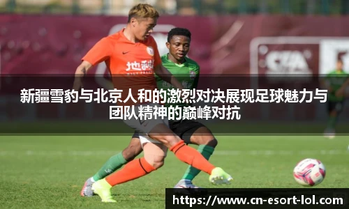 新疆雪豹与北京人和的激烈对决展现足球魅力与团队精神的巅峰对抗
